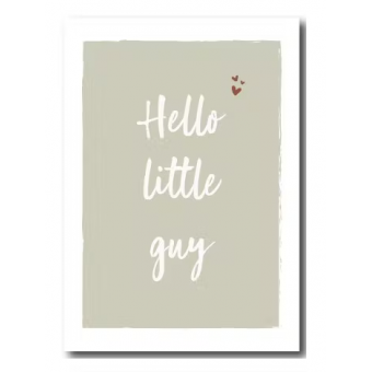 Ansichtkaart | Hello little guy